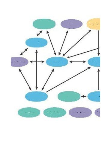 Traspaso de otros datos